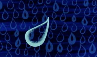 蚊子不会被雨水砸死 蚊子不会被雨水砸死