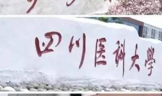 泸州医学院 泸州医学院