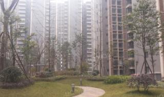 四川文化产业学院 四川文化产业学院