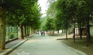 西安电力高等专科