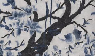 福无十全是什么动物