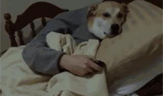 想你的日子 想你的日子