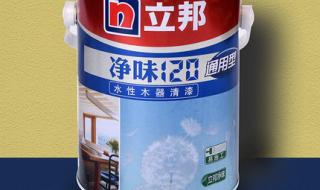 立邦净味120 立邦净味120