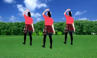 中老年人广场舞 中老年人广场舞