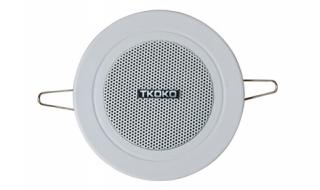 吸顶式音响 吸顶式音响