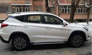 脱缰的野马 脱缰的野马