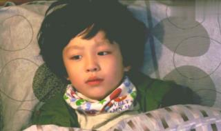 夏天的舅舅 夏天的舅舅