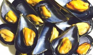 假期去海边不要吃海虹 假期去海边不要吃海虹