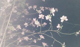 回南天什么时候结束