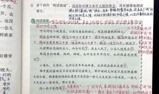 祖父的园子课堂笔记