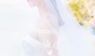 谢娜张杰婚纱照片 谢娜张杰婚纱照片