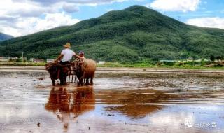 朋友圈一杠中间一个点 朋友圈一杠中间一个点