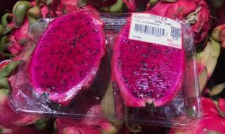 火龙果是仙人掌的果实 火龙果是仙人掌的果实