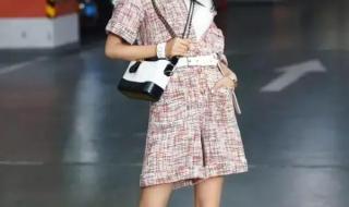 香奈儿普雷斯顿资料 香奈儿普雷斯顿资料