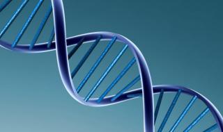 化学在生活中的应用 化学在生活中的应用