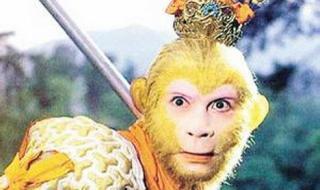 我和孙悟空过一天 我和孙悟空过一天