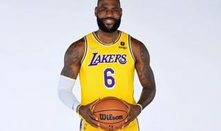 詹姆斯湖人6号球衣图片